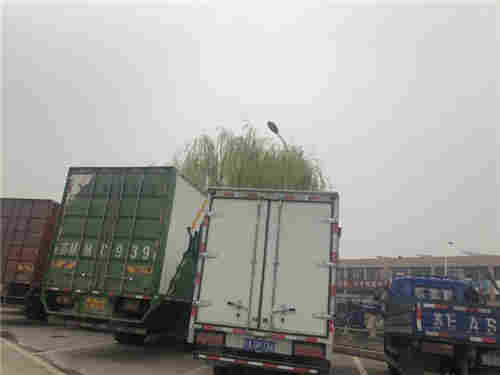 蘇州市順佳物流 專(zhuān)業(yè)連接蘇州與浙江的大件運(yùn)輸服務(wù)專(zhuān)家